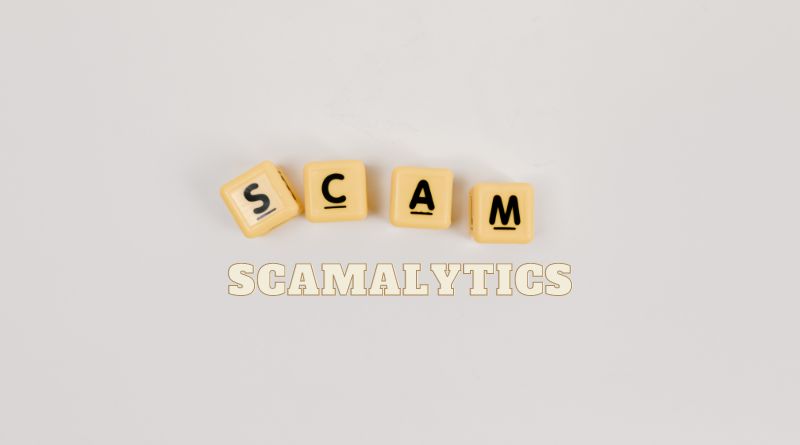 How Scamalytics Works to Prevent Fraud: An Overview
