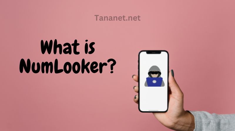 What is NumLooker